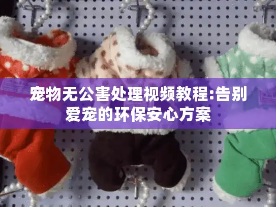 宠物无公害处理视频教程:告别爱宠的环保安心方案 宠物无公害处理视频教程:告别爱宠的环保安心方案