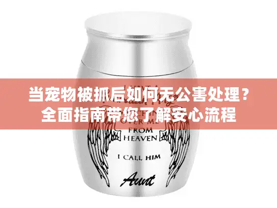 当宠物被抓后如何无公害处理？全面指南带您了解安心流程