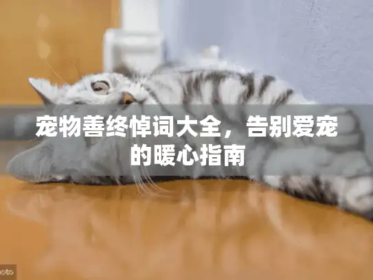 宠物善终悼词大全，告别爱宠的暖心指南