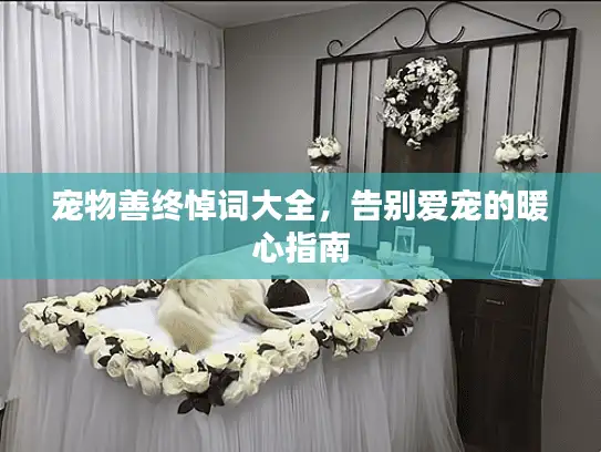 宠物善终悼词大全，告别爱宠的暖心指南