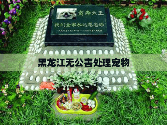 黑龙江无公害处理宠物 黑龙江无公害处理宠物