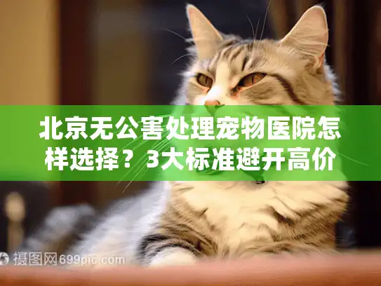 北京无公害处理宠物医院怎样选择？3大标准避开高价黑中介