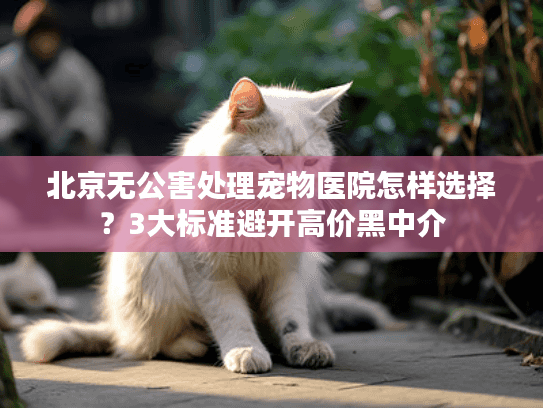 北京无公害处理宠物医院怎样选择？3大标准避开高价黑中介