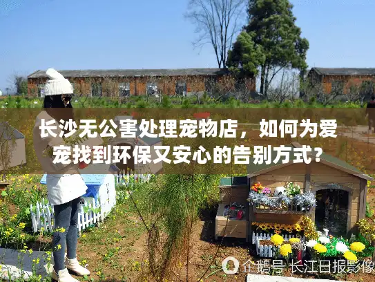 长沙无公害处理宠物店，如何为爱宠找到环保又安心的告别方式？