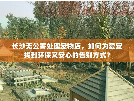 长沙无公害处理宠物店，如何为爱宠找到环保又安心的告别方式？