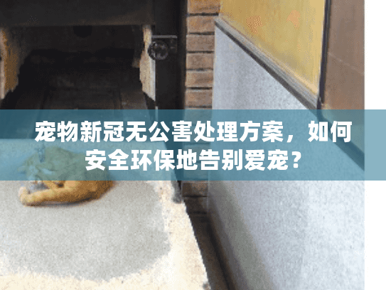 宠物新冠无公害处理方案，如何安全环保地告别爱宠？