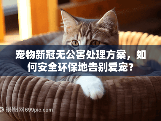 宠物新冠无公害处理方案，如何安全环保地告别爱宠？
