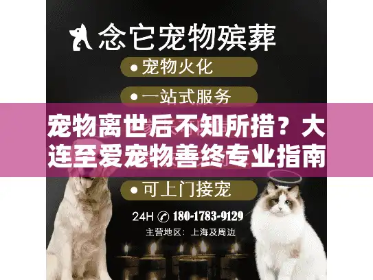 宠物离世后不知所措？大连至爱宠物善终专业指南解决您的困扰