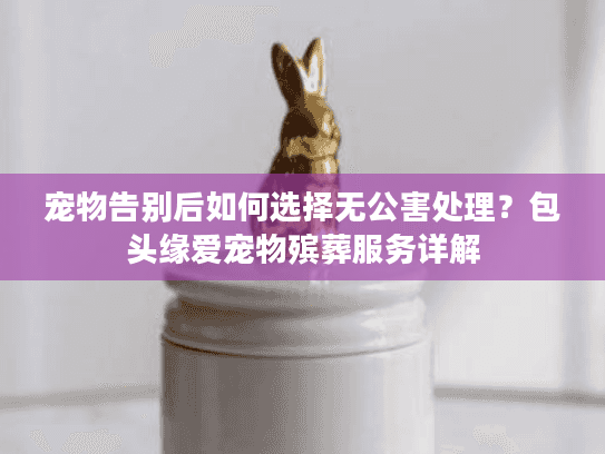宠物告别后如何选择无公害处理？包头缘爱宠物殡葬服务详解