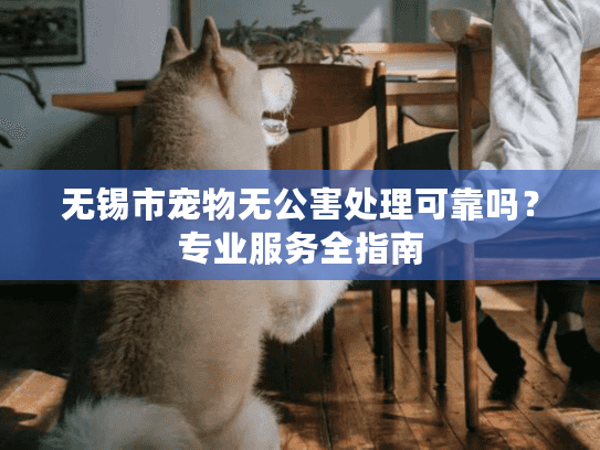 无锡市宠物无公害处理可靠吗？专业服务全指南