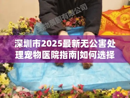 深圳市2025最新无公害处理宠物医院指南|如何选择正规机构