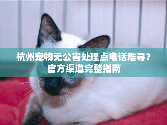 杭州宠物无公害处理点电话难寻？官方渠道完整指南