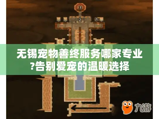 无锡宠物善终服务哪家专业?告别爱宠的温暖选择