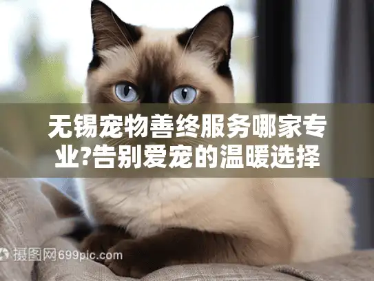 无锡宠物善终服务哪家专业?告别爱宠的温暖选择