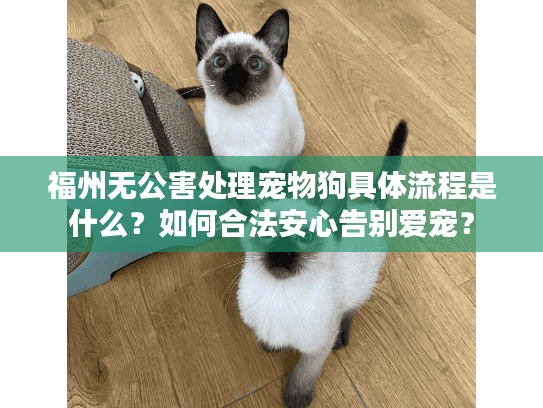 福州无公害处理宠物狗具体流程是什么？如何合法安心告别爱宠？