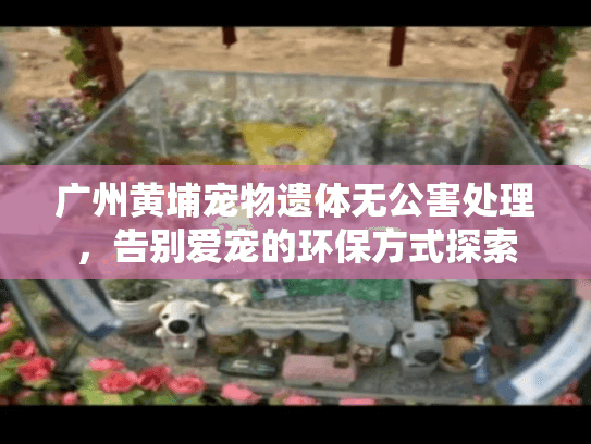 广州黄埔宠物遗体无公害处理，告别爱宠的环保方式探索