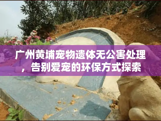 广州黄埔宠物遗体无公害处理，告别爱宠的环保方式探索