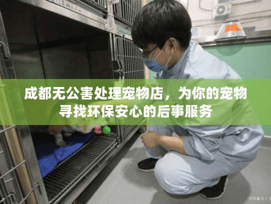 成都无公害处理宠物店,为你的宠物寻找环保安心的后事服务 成都无公害处理宠物店,为你的宠物寻找环保安心的后事服务
