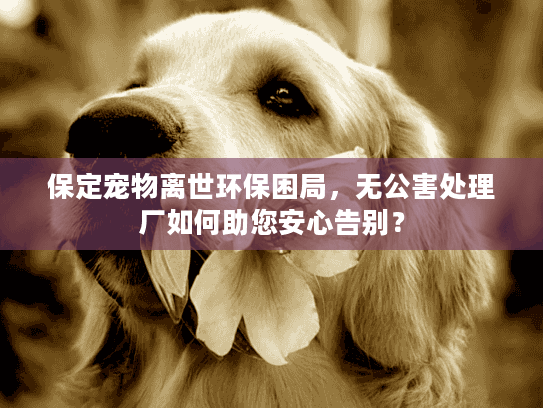 保定宠物离世环保困局，无公害处理厂如何助您安心告别？