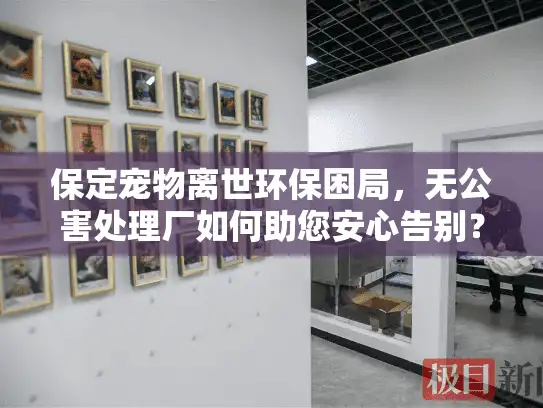 保定宠物离世环保困局，无公害处理厂如何助您安心告别？