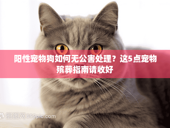 阳性宠物狗如何无公害处理？这5点宠物殡葬指南请收好