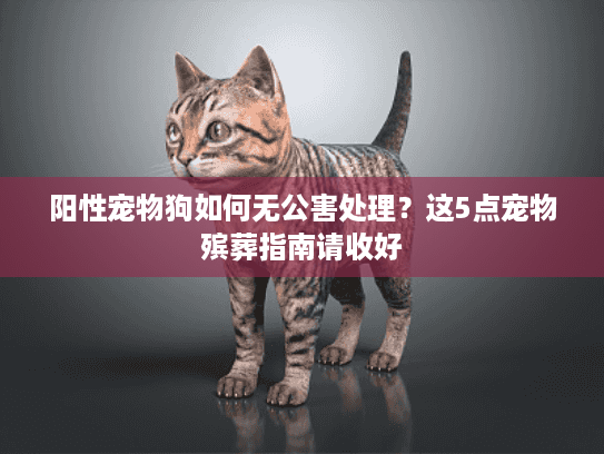 阳性宠物狗如何无公害处理？这5点宠物殡葬指南请收好