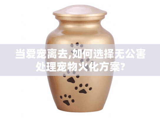 当爱宠离去,如何选择无公害处理宠物火化方案?