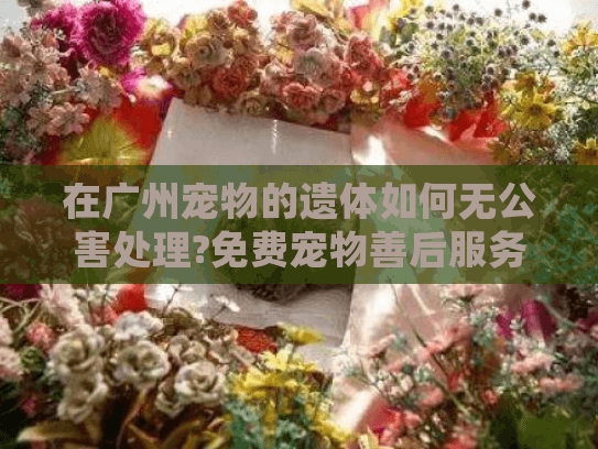 在广州宠物的遗体如何无公害处理?免费宠物善后服务怎么申请?