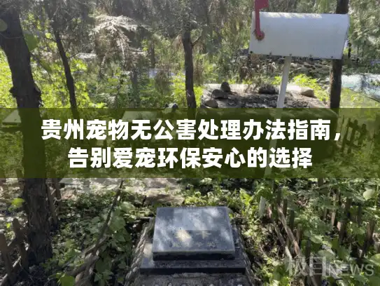 贵州宠物无公害处理办法指南，告别爱宠环保安心的选择