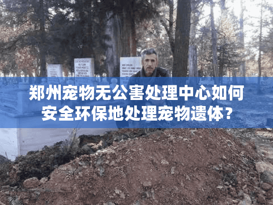 郑州宠物无公害处理中心如何安全环保地处理宠物遗体？