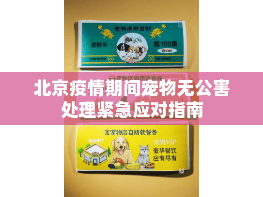 北京疫情期间宠物无公害处理紧急应对指南
