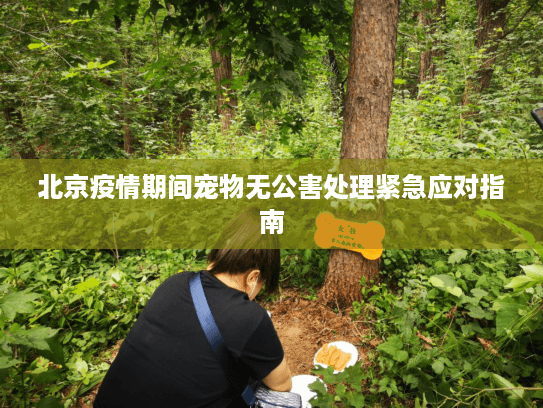 北京疫情期间宠物无公害处理紧急应对指南