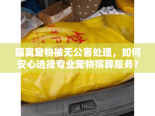 隔离宠物被无公害处理，如何安心选择专业宠物殡葬服务？
