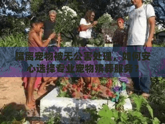 隔离宠物被无公害处理，如何安心选择专业宠物殡葬服务？