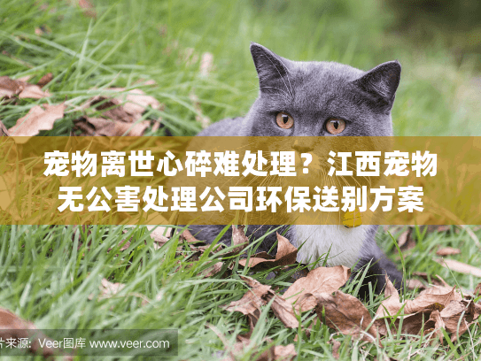 宠物离世心碎难处理?江西宠物无公害处理公司环保送别方案 宠物离世心碎难处理?江西宠物无公害处理公司环保送别方案