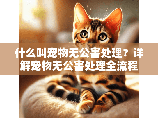 什么叫宠物无公害处理？详解宠物无公害处理全流程