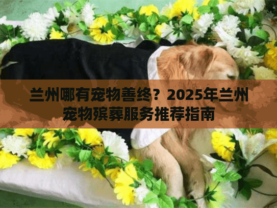 兰州哪有宠物善终？2025年兰州宠物殡葬服务推荐指南
