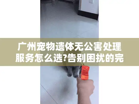 广州宠物遗体无公害处理服务怎么选?告别困扰的完整指南 广州宠物遗体无公害处理服务怎么选?告别困扰的完整指南