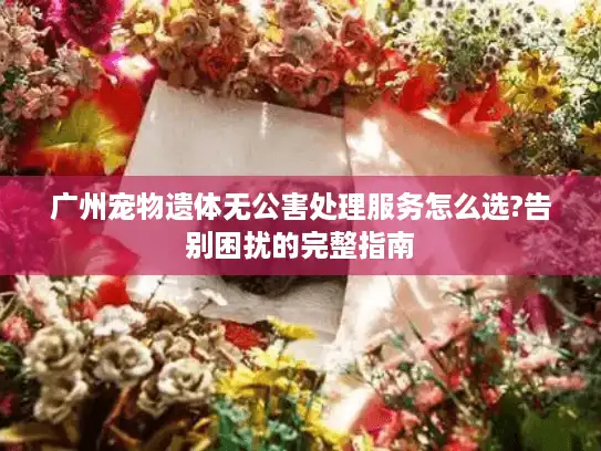 广州宠物遗体无公害处理服务怎么选?告别困扰的完整指南 广州宠物遗体无公害处理服务怎么选?告别困扰的完整指南