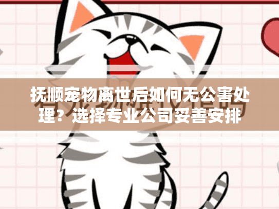 抚顺宠物离世后如何无公害处理？选择专业公司妥善安排
