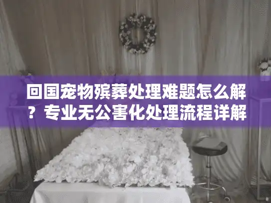 回国宠物殡葬处理难题怎么解？专业无公害化处理流程详解