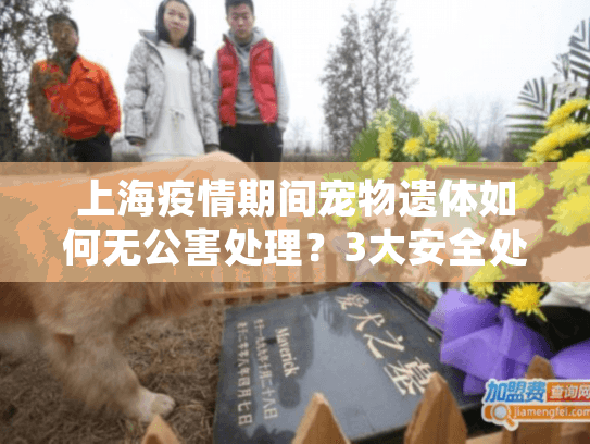上海疫情期间宠物遗体如何无公害处理？3大安全处理方案指南