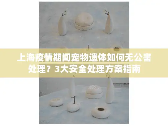 上海疫情期间宠物遗体如何无公害处理？3大安全处理方案指南