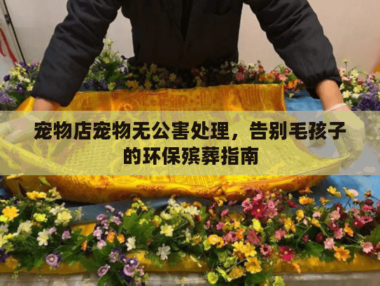 宠物店宠物无公害处理，告别毛孩子的环保殡葬指南