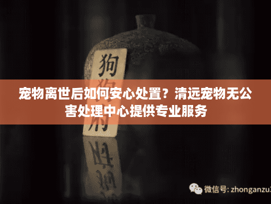 宠物离世后如何安心处置？清远宠物无公害处理中心提供专业服务