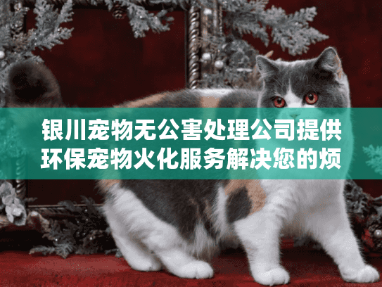 银川宠物无公害处理公司提供环保宠物火化服务解决您的烦恼？