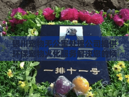银川宠物无公害处理公司提供环保宠物火化服务解决您的烦恼？