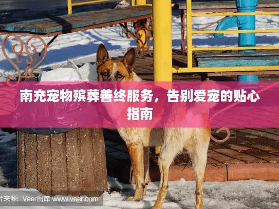 南充宠物殡葬善终服务,告别爱宠的贴心指南 南充宠物殡葬善终服务,告别爱宠的贴心指南