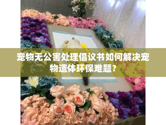 宠物无公害处理倡议书如何解决宠物遗体环保难题？