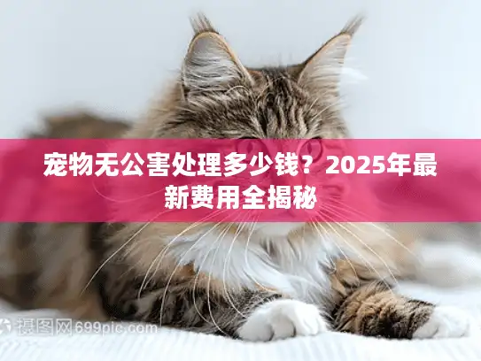 宠物无公害处理多少钱？2025年最新费用全揭秘